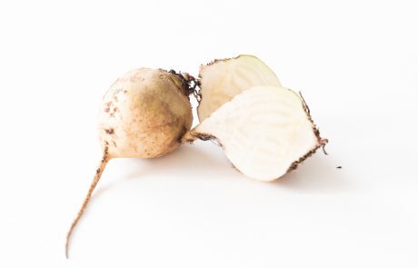 witte biet